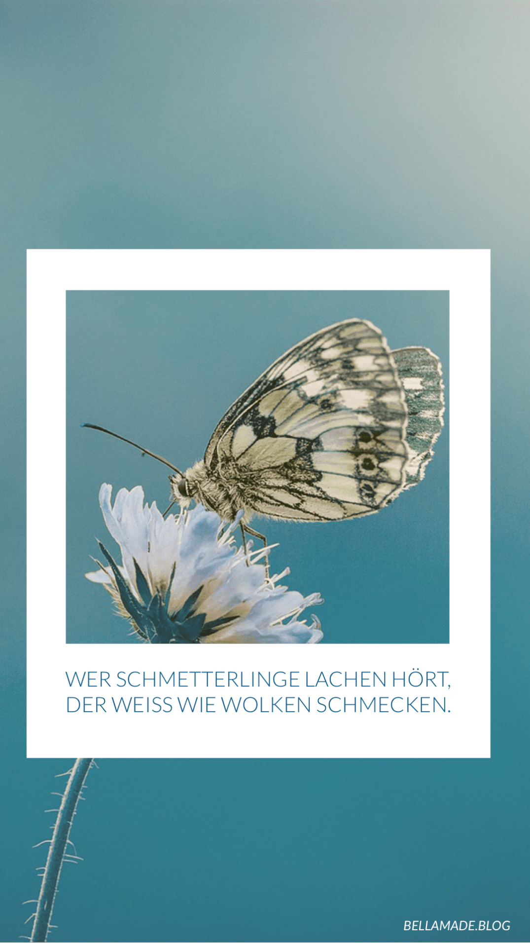 Wer Schmetterlinge lachen hört, der weiß wie Wolken schmecken.