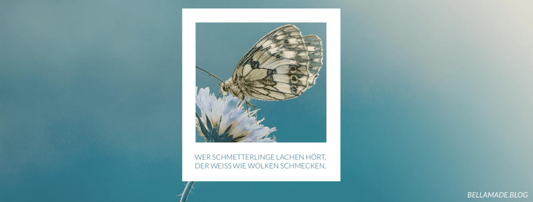 Wer Schmetterlinge lachen hört, der weiß wie Wolken schmecken.