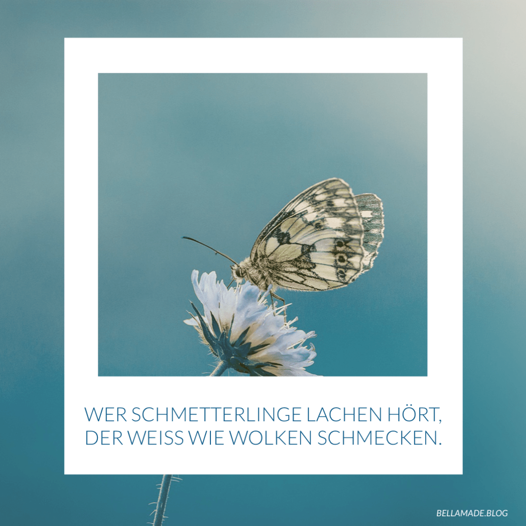 Wer Schmetterlinge lachen hört, der weiß wie Wolken schmecken.