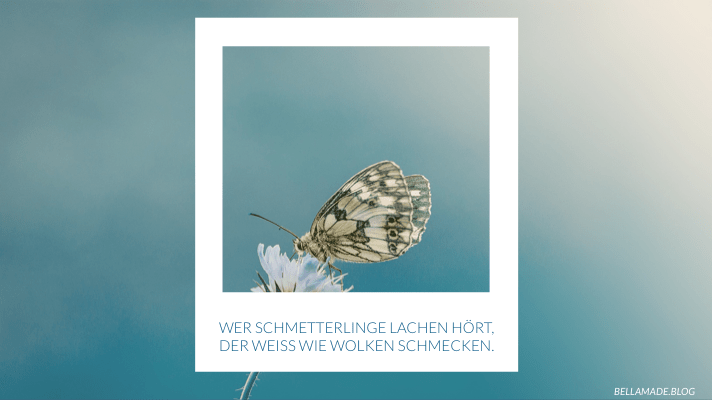 Wer Schmetterlinge lachen hört, der weiß wie Wolken schmecken.