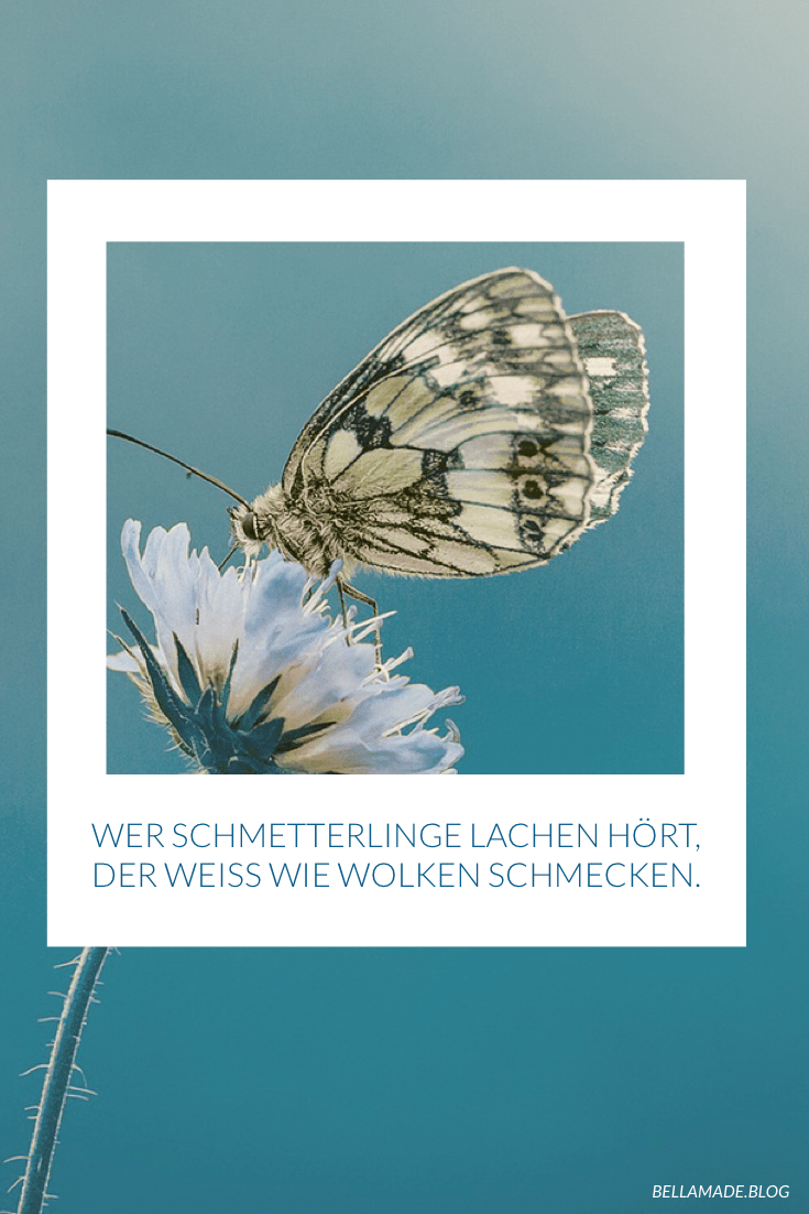 Wer Schmetterlinge lachen hört, der weiß wie Wolken schmecken.